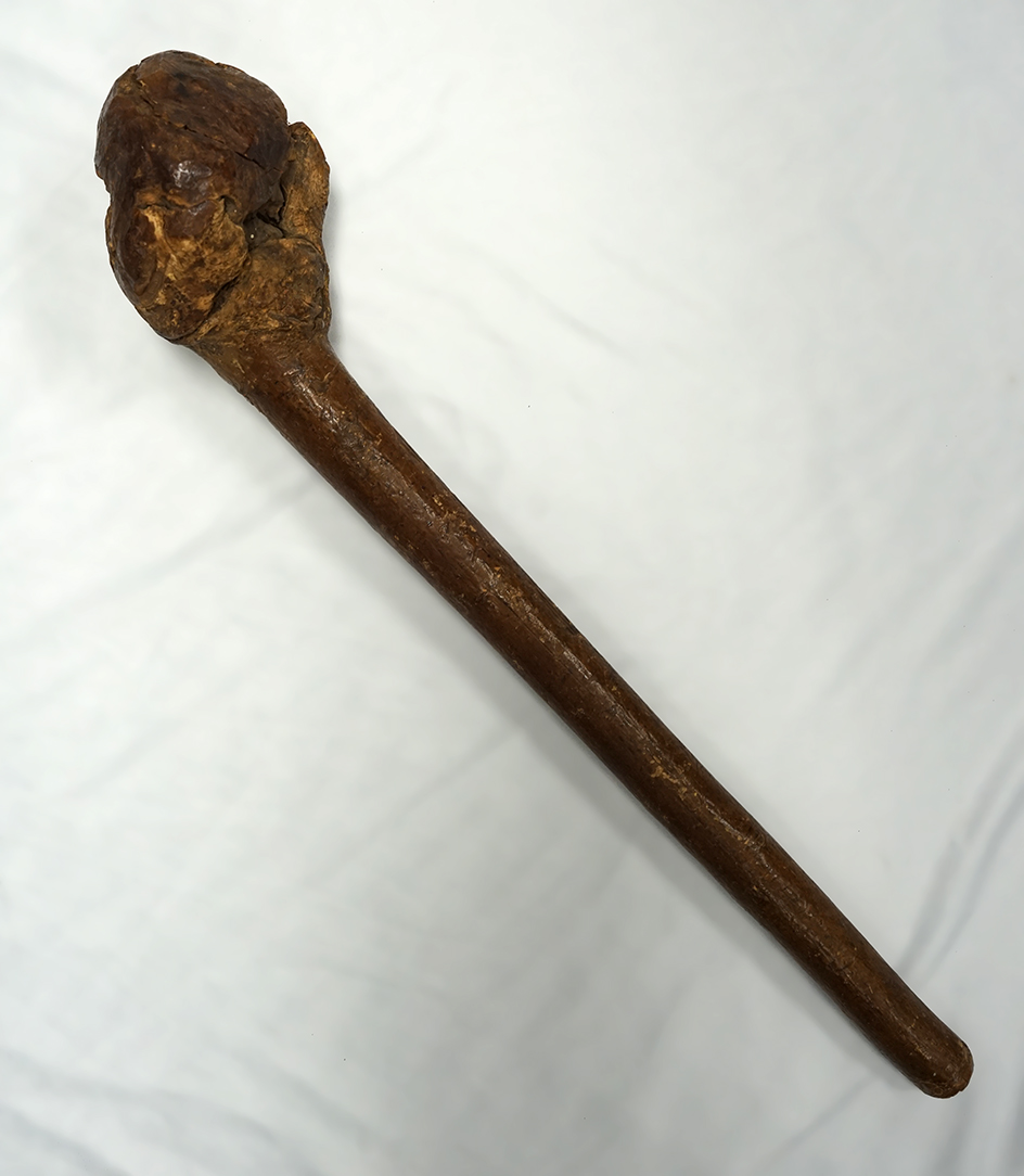 20" Long Burl wood club from New York.