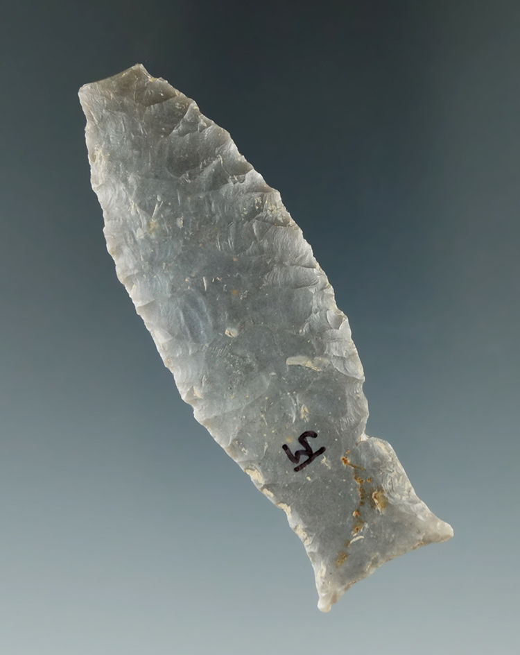 2 13/16" Beautifully flaked Paleo Unfluted Cumberland or Beaver Lake- Western Kentucky.