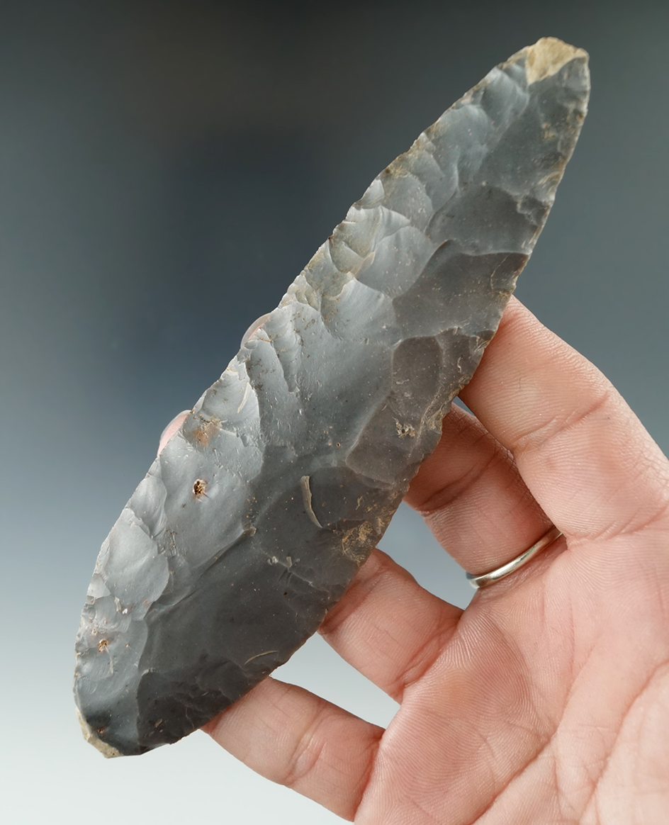 5 1/8" Turkeytail Blade found in Crawford Co., Indiana as part of a 27 total piece Cache.