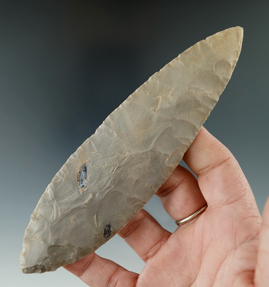 5 3/4" Turkeytail Blade found in Crawford Co., Indiana as part of a 27 total piece Cache. .