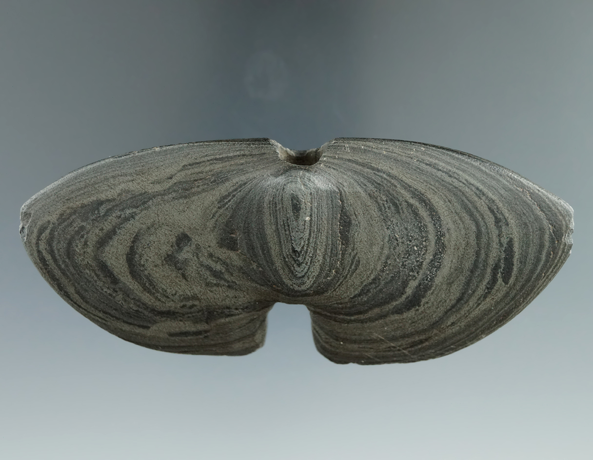 Rare 4 1/8" Single Notch Banded Slate Wing Bannerstone found in Wyandot Co., Ohio.