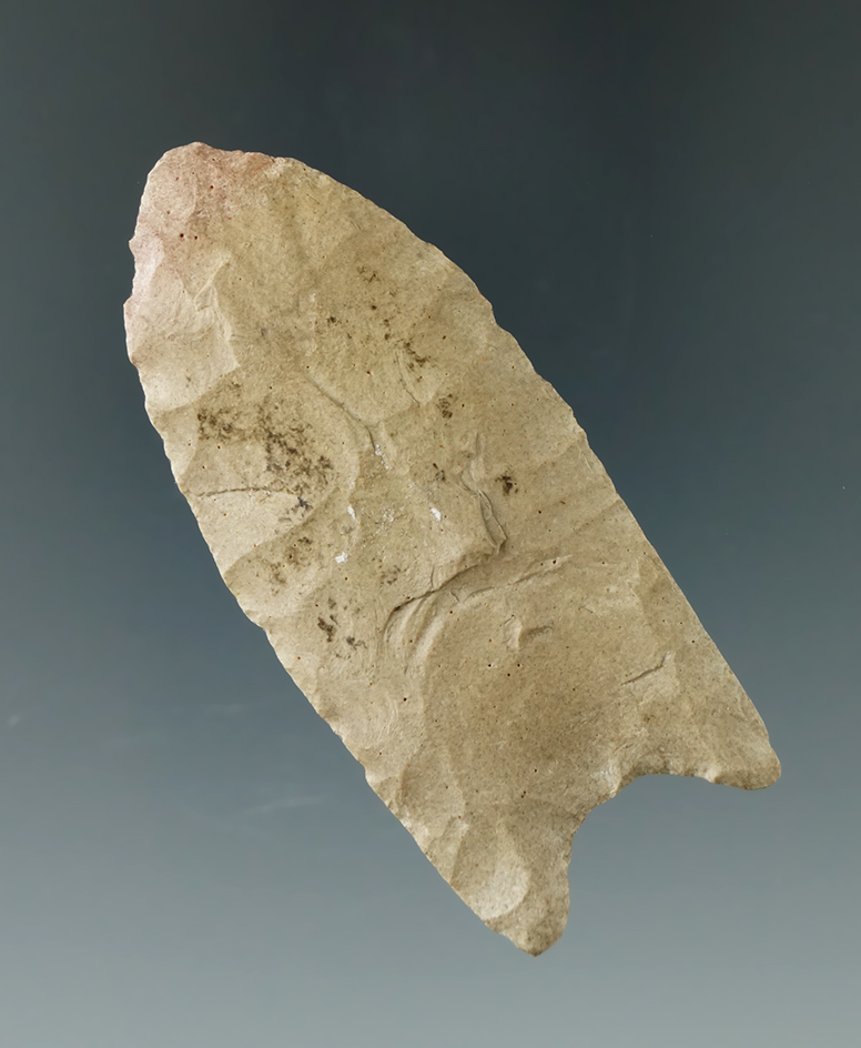 2 1/2" Paleo Fluted Clovis found in Northwestern Kentucky. Ex. Dan White. Berner COA.
