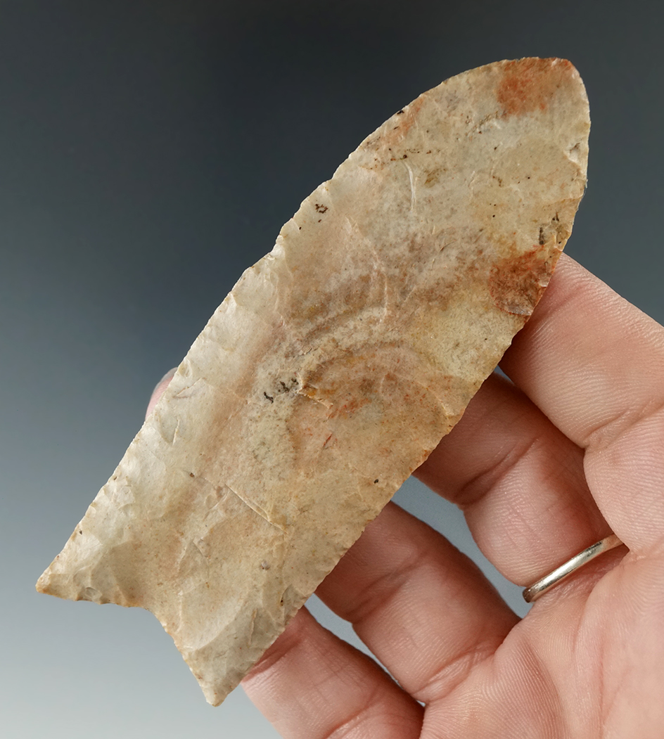 Classic style 3 3/4" Paleo Clovis fluted on both sides found in Southwestern Indiana, COA.