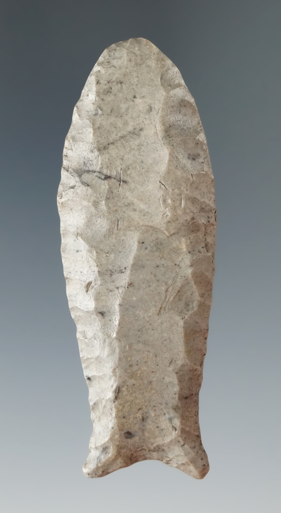 2 11/16" Paleo Fluted Cumberland made from Dover Chert found in Tennessee. Davis G-9 COA.