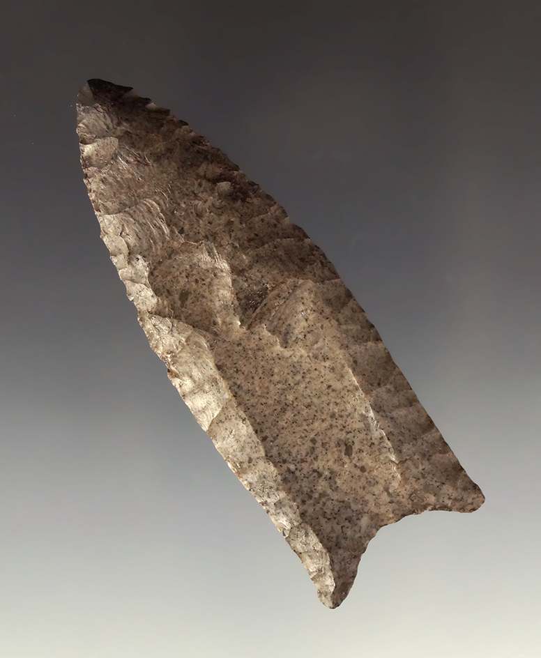 2 13/16" Paleo Fluted Clovis found in Macon Co., Illinois. Comes with Partain and Rogers COAs.