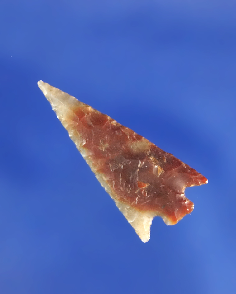 Thin, very well flaked, excellent condition! 15/16" Columbia Plateau found near the Deschutes River