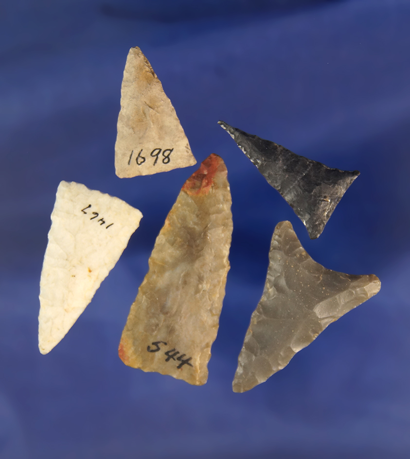 Set of five nicely made Triangle points found in the Midwest, largest is 1 9/16".