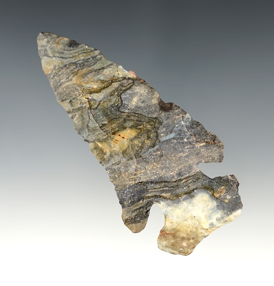 3 3/8" Restored Archaic Thebes Deep Notch Bevel made from multi-colored Coshocton Flint.  Ohio.