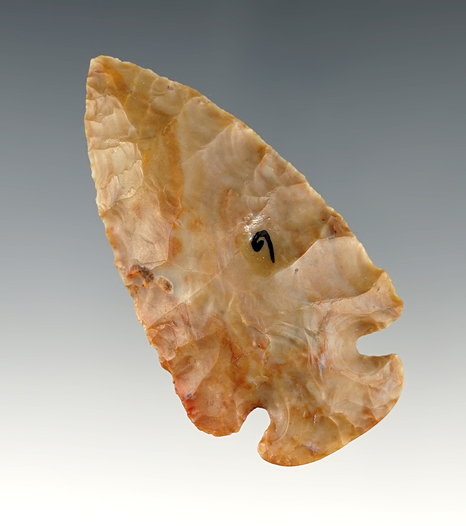 Beautiful 2 1/2" Flint Ridge Flint Dovetail found in Ohio. Ex. Dean Driskill Collection.