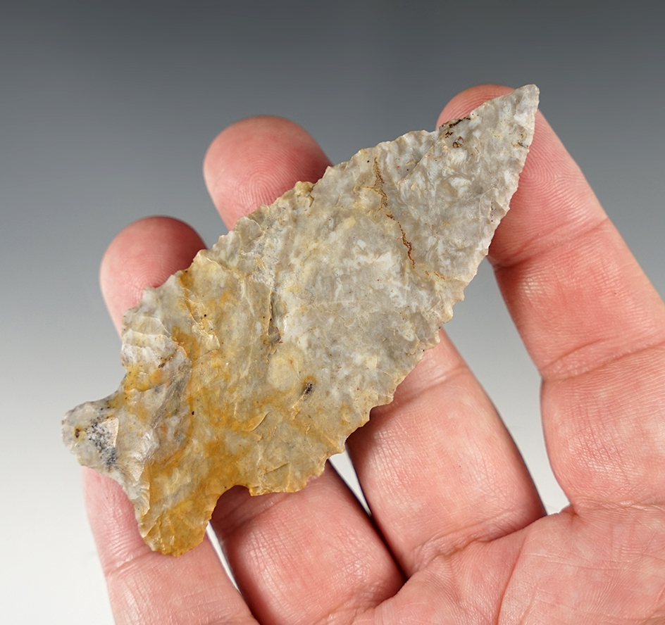 Exceptional nicely serrated 3 1/2" MacCorkle Bifurcate found in Licking Co., Ohio.