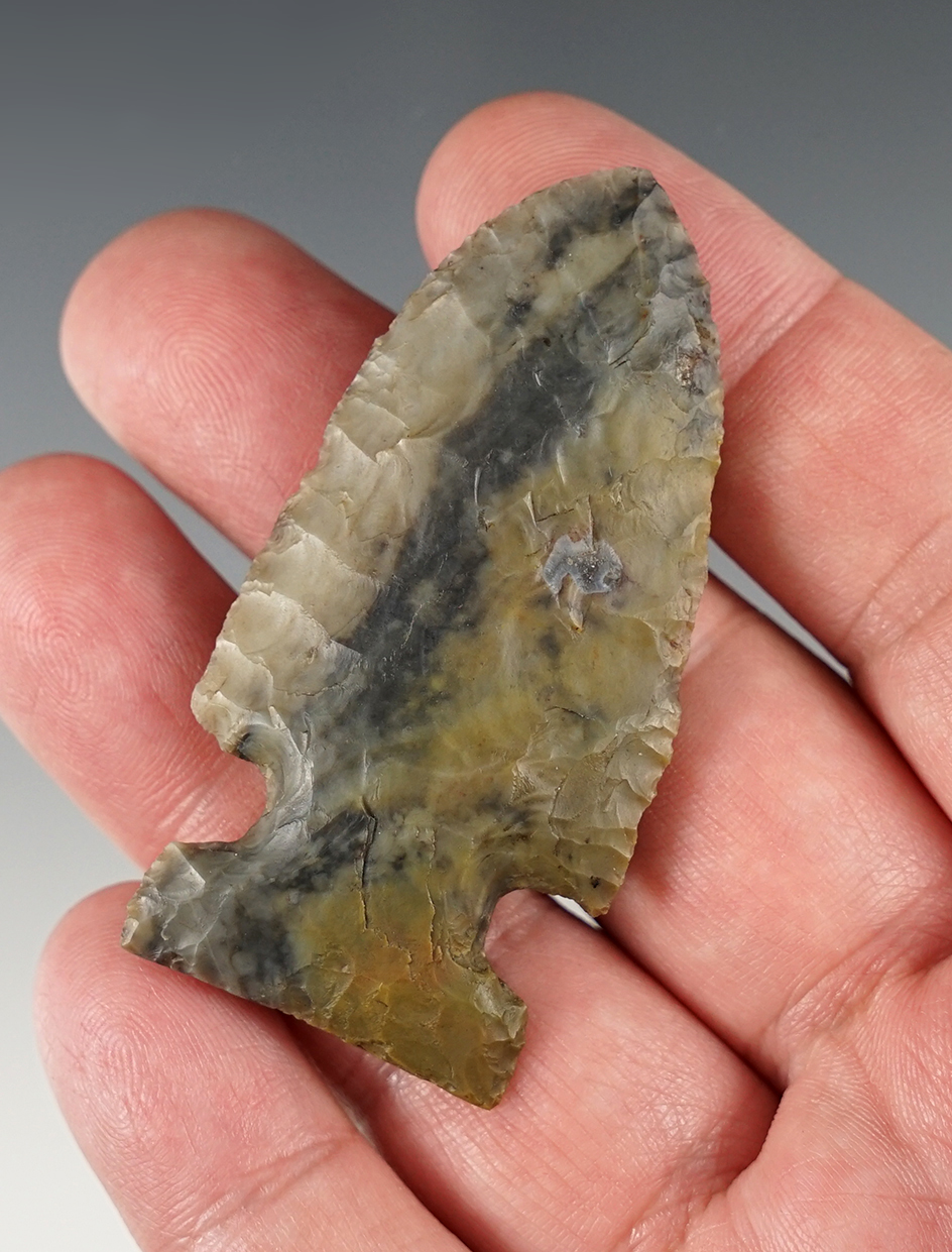 Exceptional flaking and style on this 2 1/2" Archaic Sidenotch found in Seneca Co., Ohio.