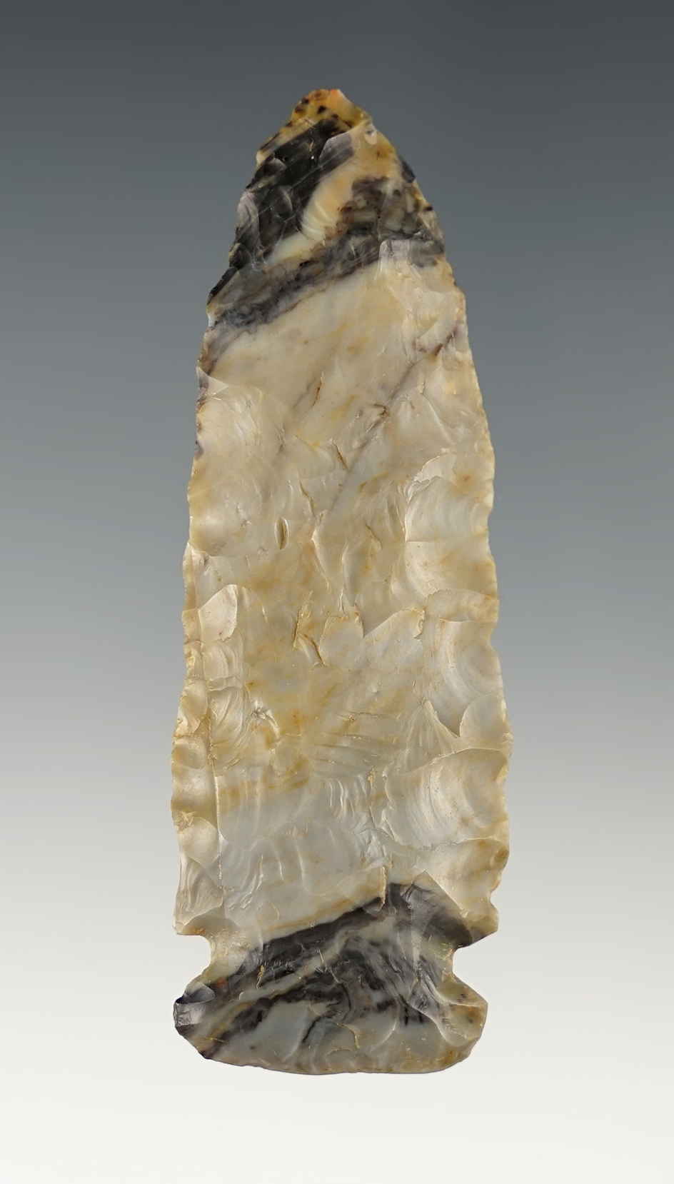 Exceptional 2 7/8" Dovetail - multi-colored Flint Ridge Flint. Found in Carroll Co., Ohio.