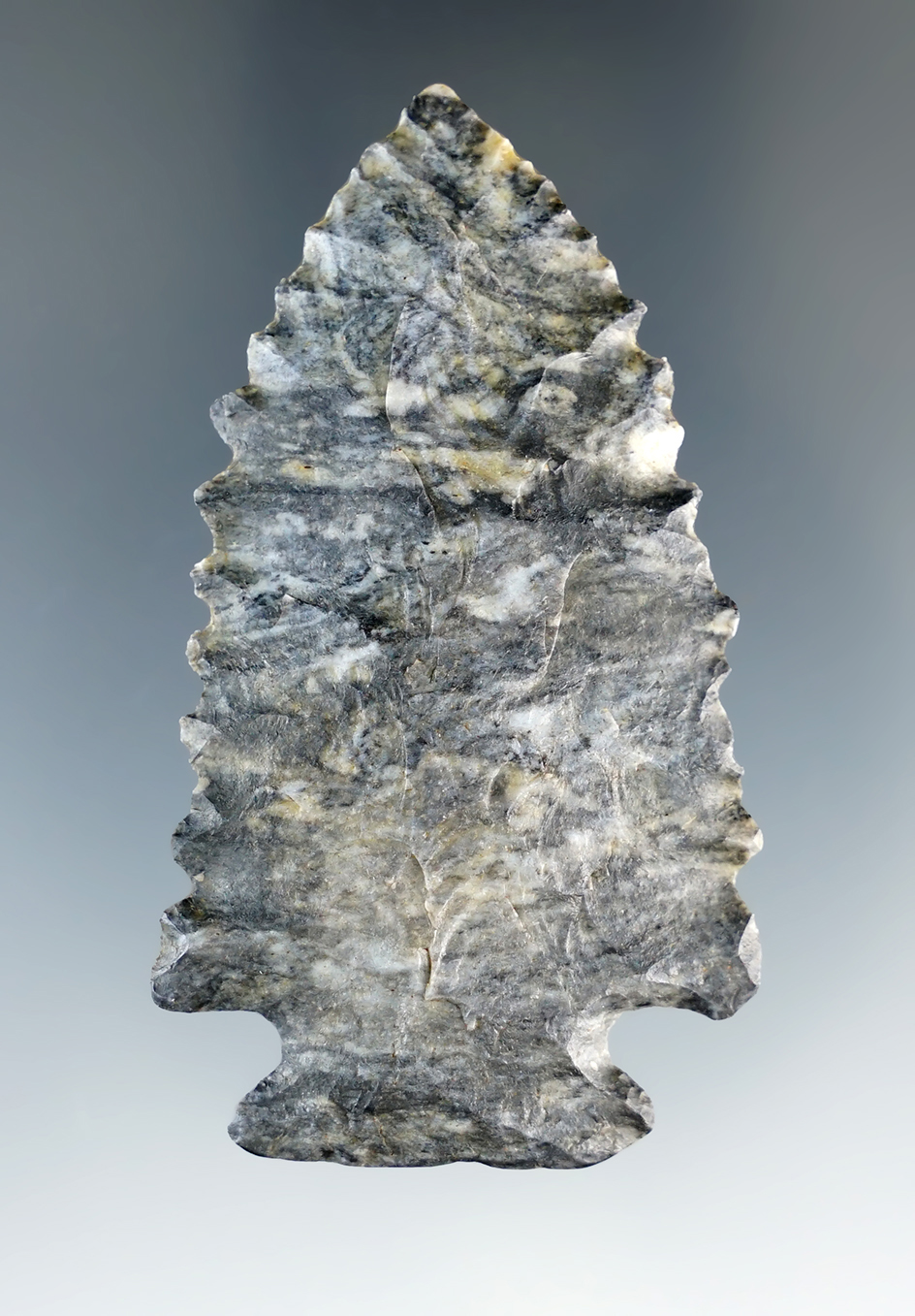 2 7/16" Coshocton Pinetree that is finely made. Found in Wayne Co., Ohio.