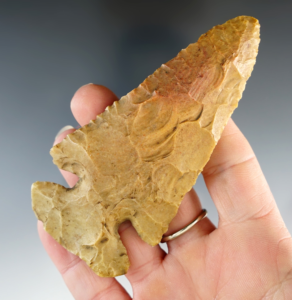 4" Carter Cave Archaic Bevel. Found in Hancock Co., Ohio, near Findlay Airport.