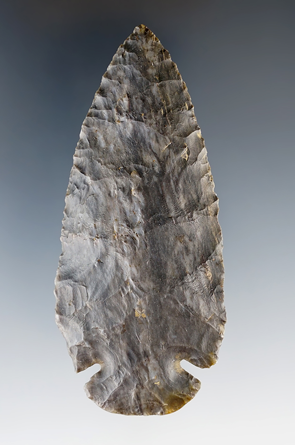 3 3/8" Mottled Coshocton Archaic Dovetail. Found in Pickaway Co., Ohio.