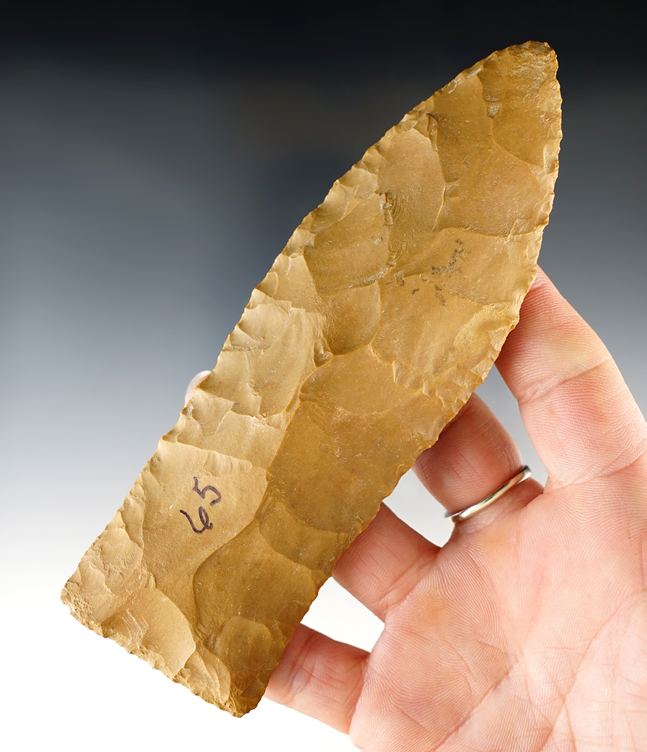 Large and nice! 5 1/2" Copena found in Hardin Co., Tennessee. Ex. J. Allen, D. Smith.