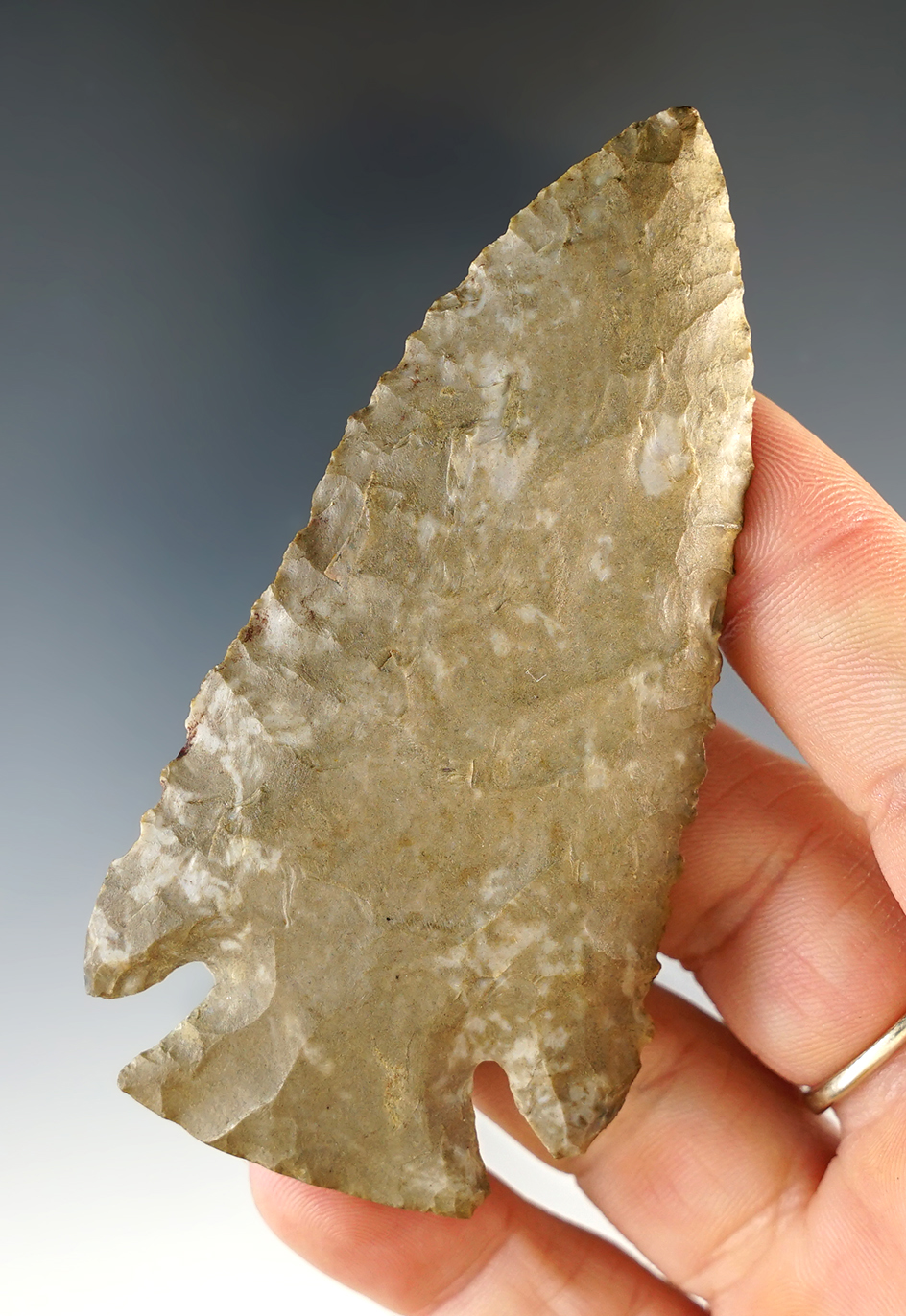 3 3/8" Lost Lake made from beautifully mottled Ft. Payne Chert.  Trigg Co., Kentucky.