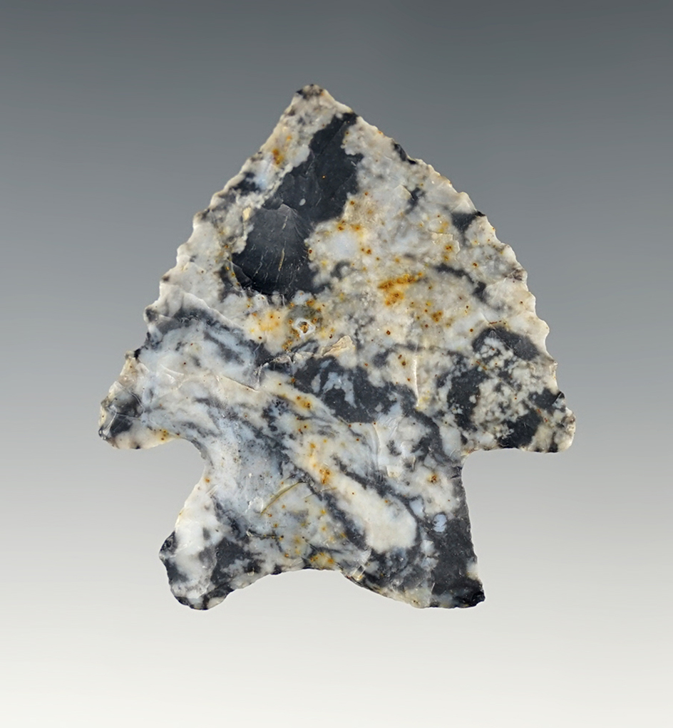 2" Nicely serrated Bifurcate made from beautiful blue-and-white Coshocton Flint. Ohio.