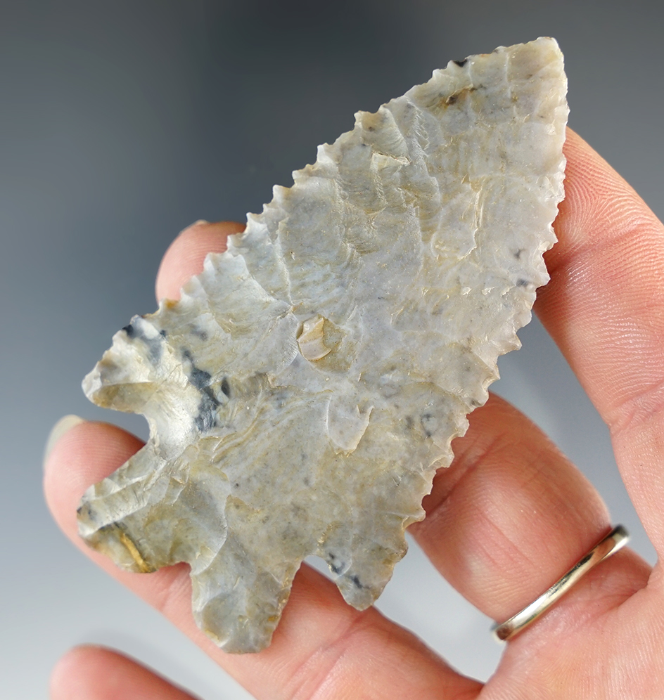 Fine with excellent serrations! 3" Serrated Bifurcate - Coshocton Flint.  Fairfield Co., Ohio.