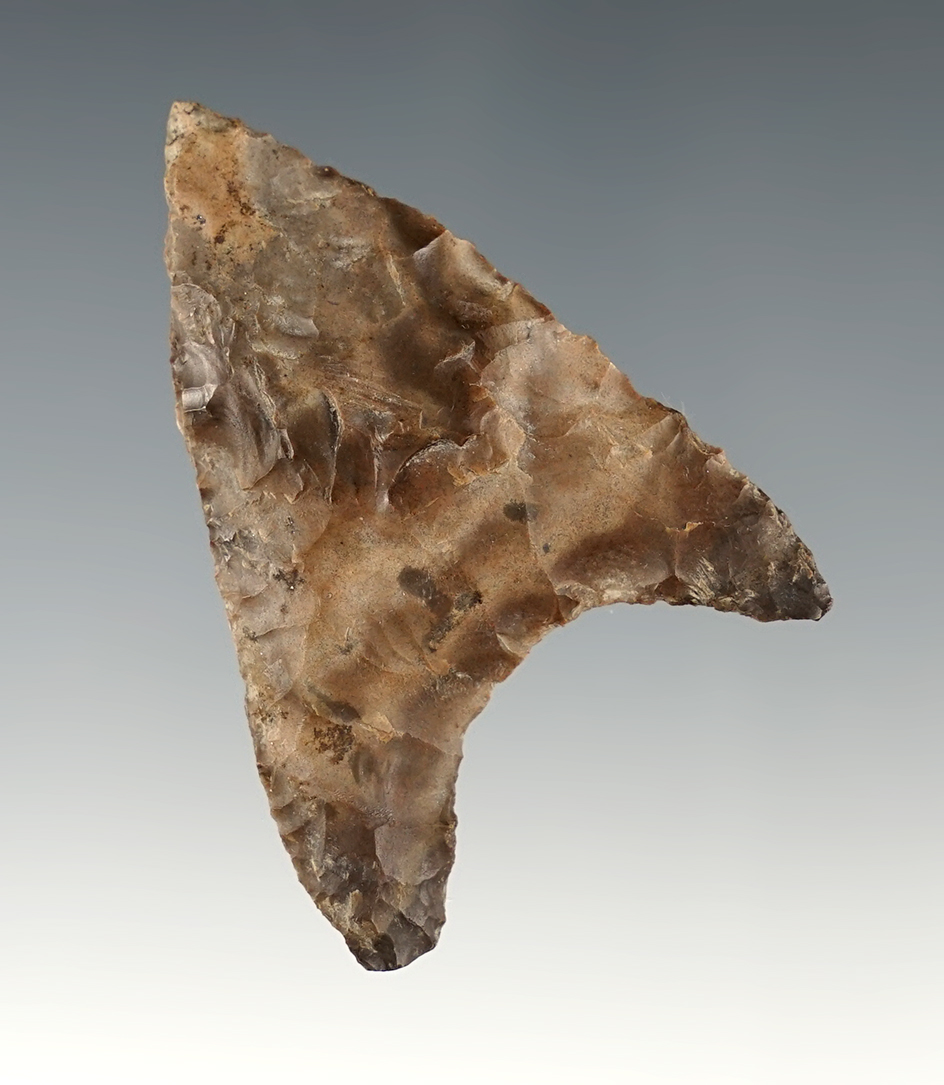 2 3/16" Columbia Mule Ear found near the John Day Rapids in Klickitat Co., Washington.