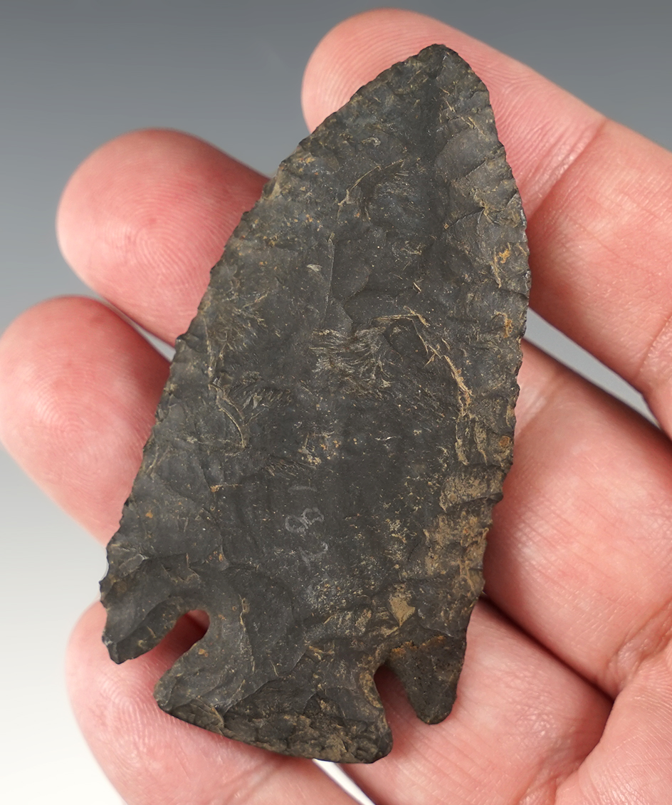 2 3/4" Coshocton Cornernotch Point with a restored barb. Found in Coshocton Co., Ohio.