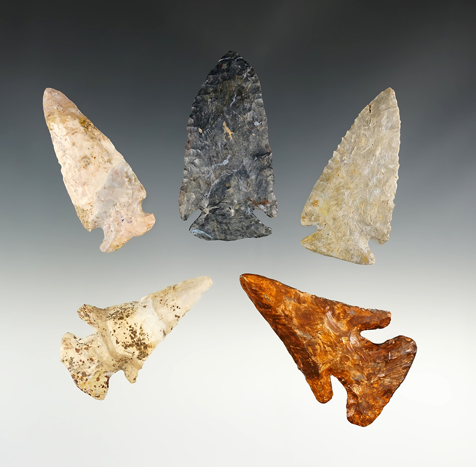 Set of 5 Ohio Thebes points. All have several areas of restoration. The Largest is 2 15/16".
