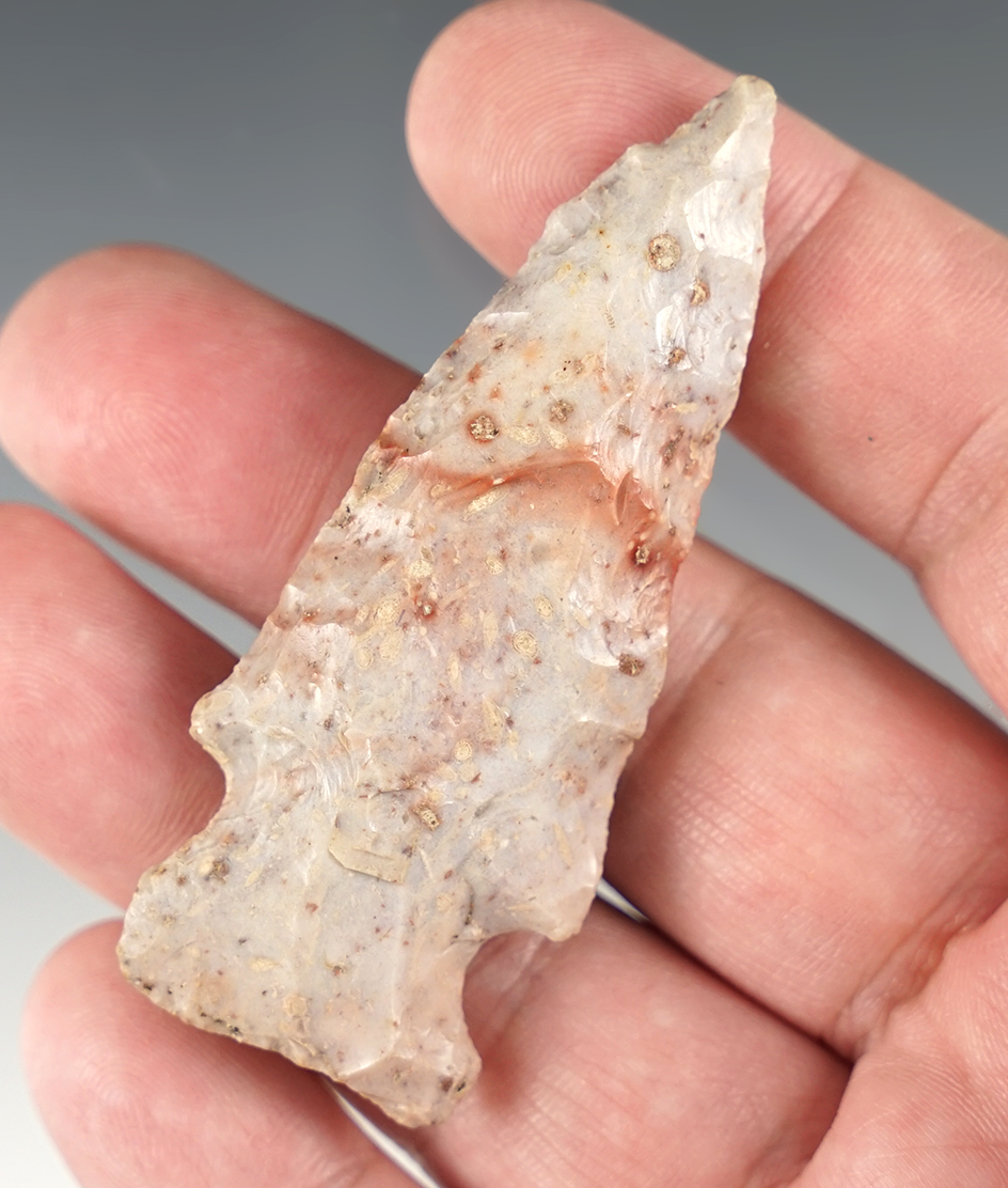 2 13/16" Flint Ridge Archaic point found in Ohio.
