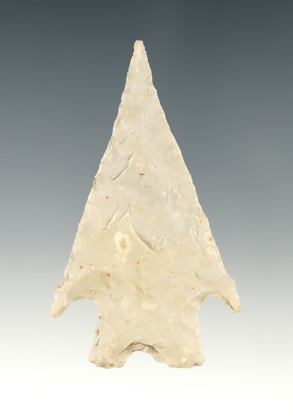Nice 3 1/4" Montell found in Bell Co., Texas. Comes with a Rogers COA.