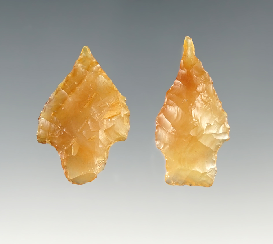 Pair of well made Shaniko points found in Umatilla Co., Oregon. The largest is 1 7/16".