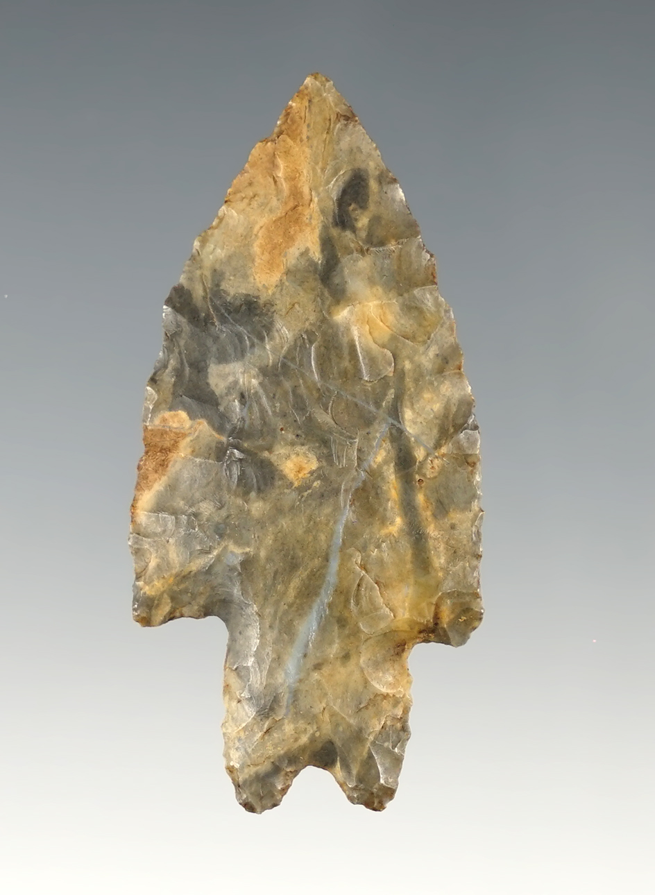 2" Highly colored Lake Erie Bifurcate Point with great color. Found in Huron Co., Ohio.