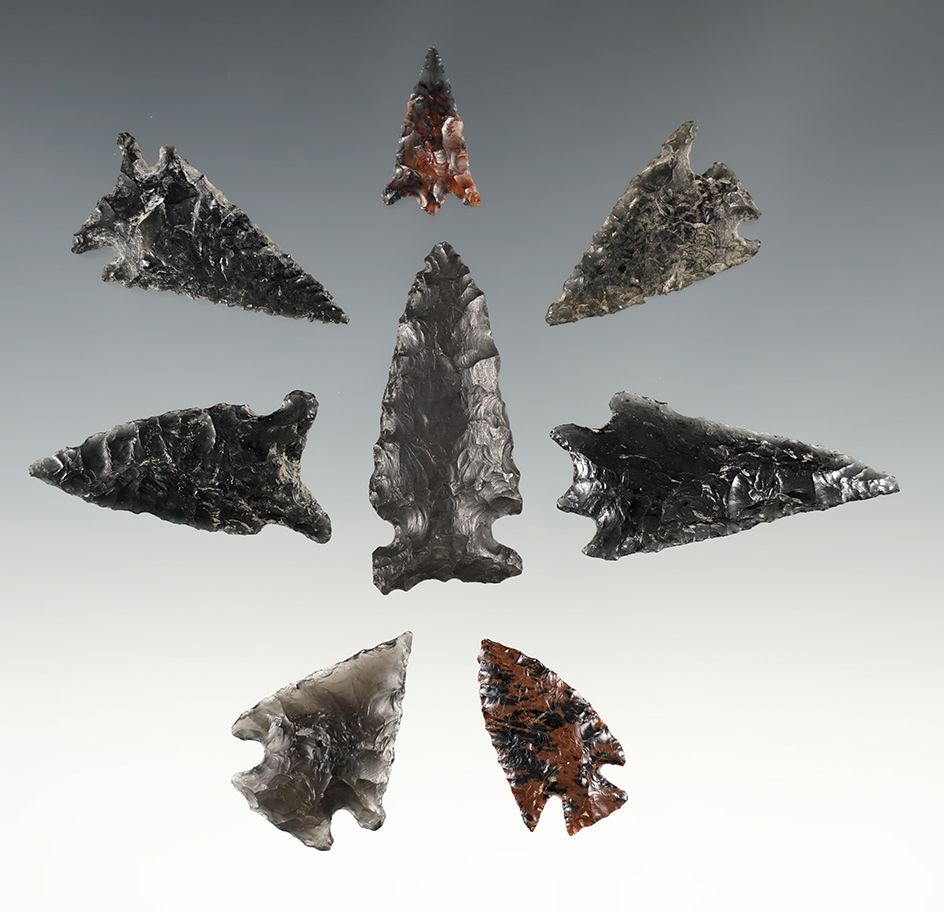 Set of 8 well made Obsidian points found in Lake Co., Oregon. The largest is 1 11/16".