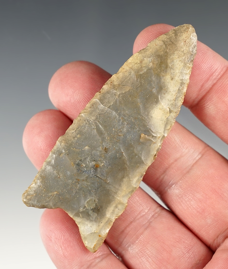 2 7/8" Paleo Clovis with restoration to 1/4" of tip. Found in Cadiz Twp., Harrison Co., Ohio.