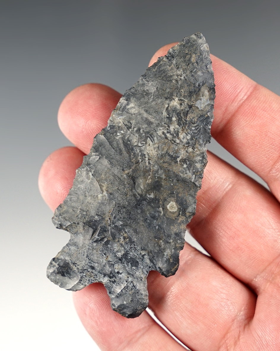 3" MacCorkle Bifurcate made from Coshocton Flint. Found in Knox Co., Ohio. Pictured. COA's.