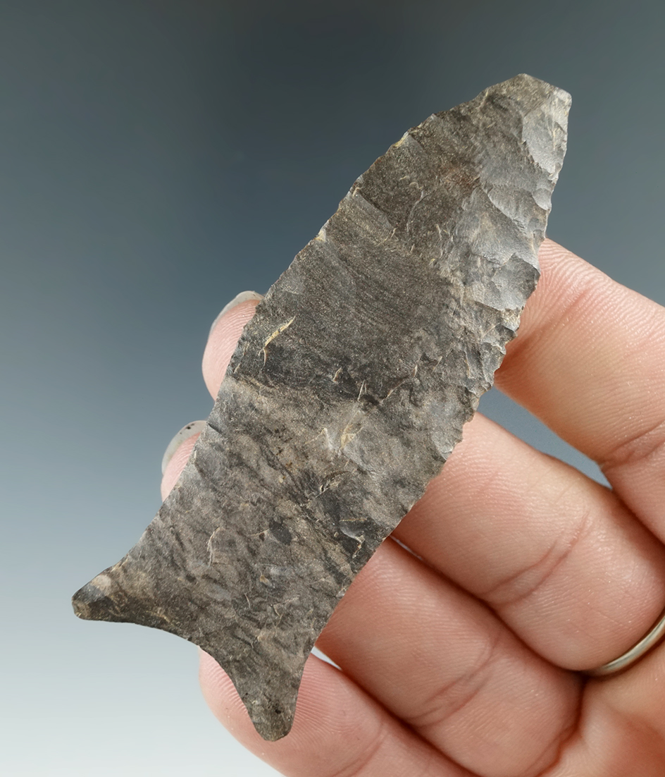 2 7/8" Beaver Lake - Dover Flint found in Benton Co.,  Tennessee by Steve Hamm. Perino COA.