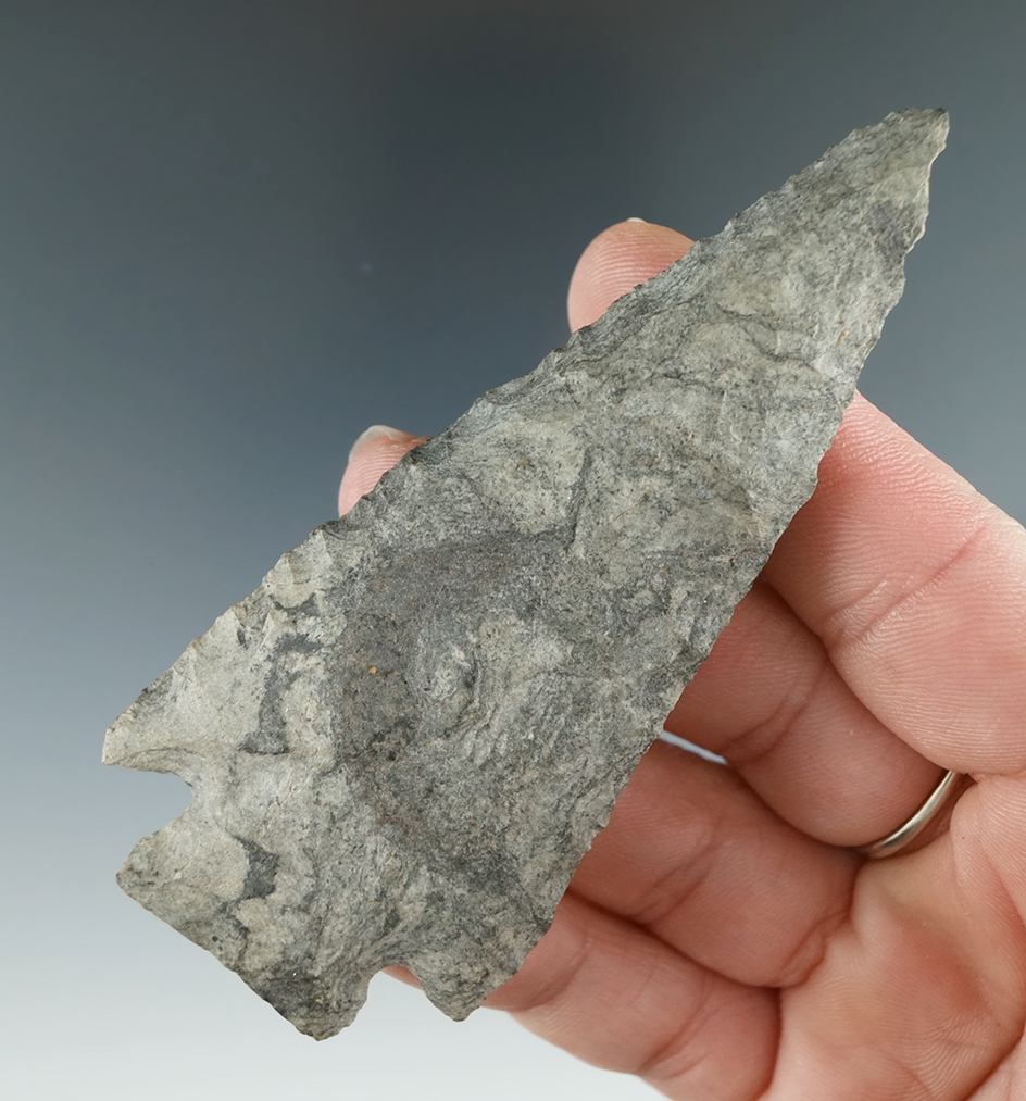 3 5/8" Hardin found in Illinois. Comes with a Motley COA.