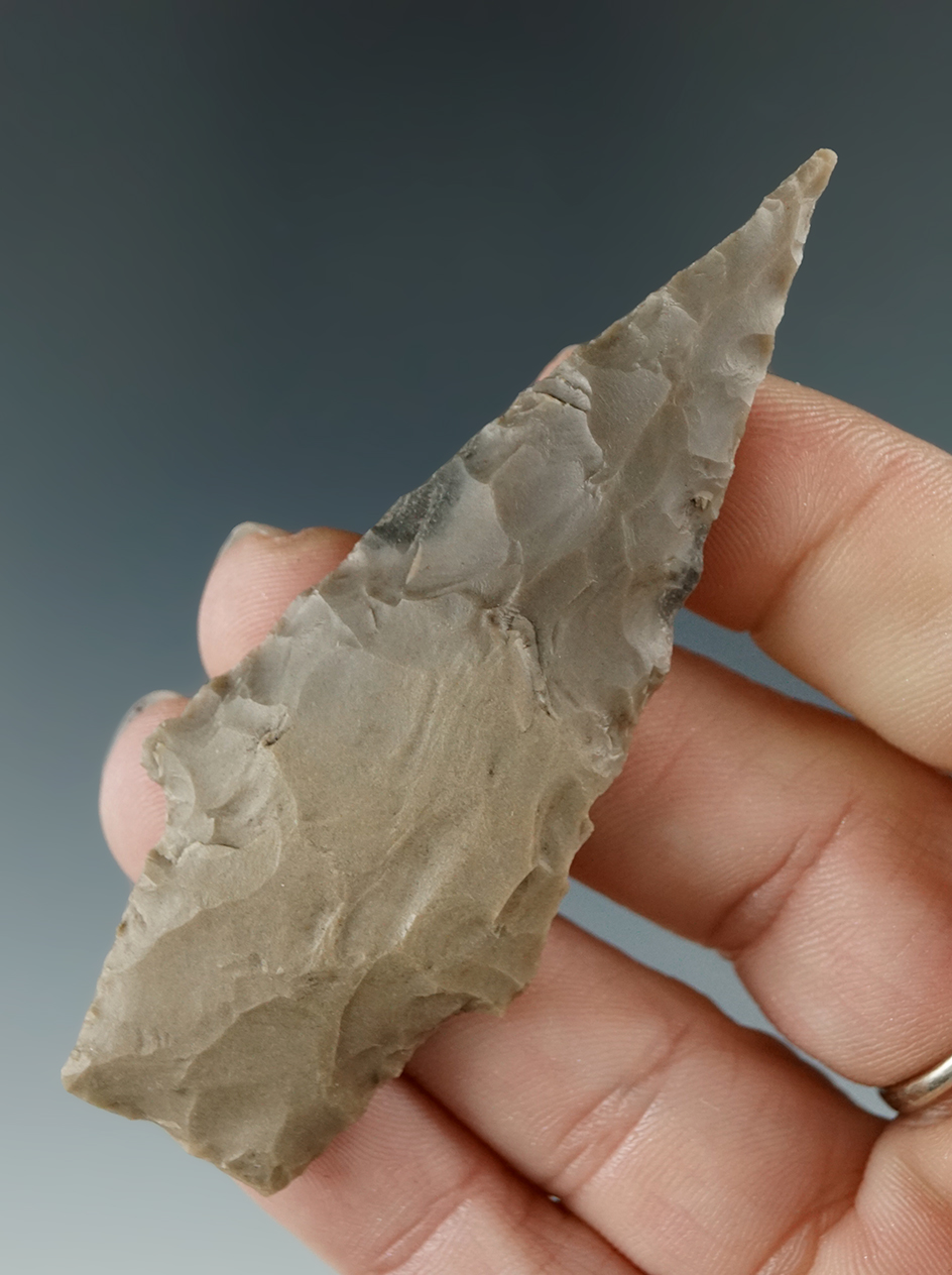 Ex. Museum! 3" needle tip Bulverde found in central Texas.