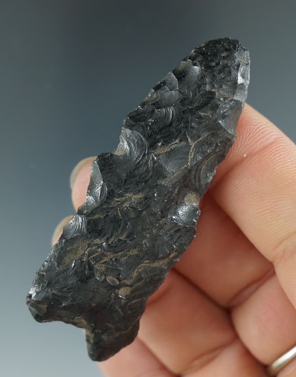 Obsidian blunt tip Windust found in the Yakima River Valley, Washington. Ex. K. Kilborn, Jim Hogue