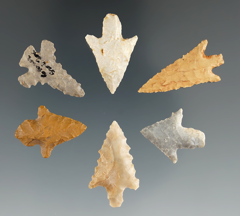 Set of seven E. Texas arrowheads that are nicely styled, largest is 1 3/16".