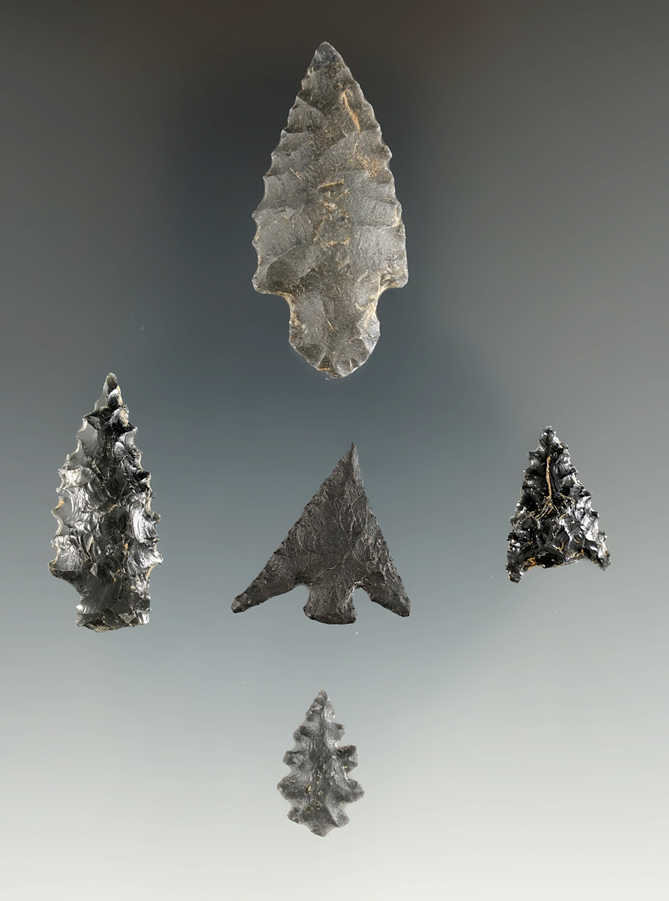 Set of five assorted points found in the Willamette Valley, Oregon. Largest is 1 1/2". Ex. Jim Hogue