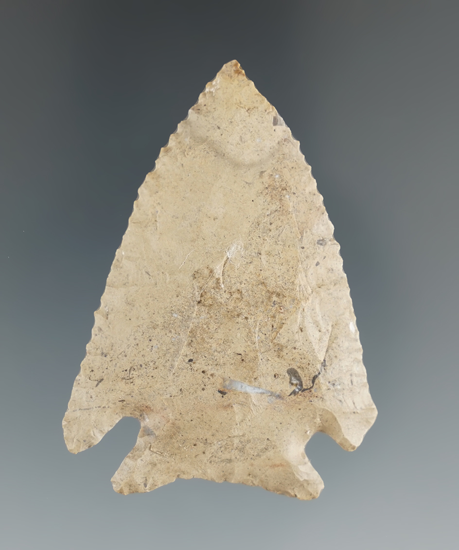 2 1/4" nicely serrated Cornernotch point found in McCreary Co.,Kentucky.