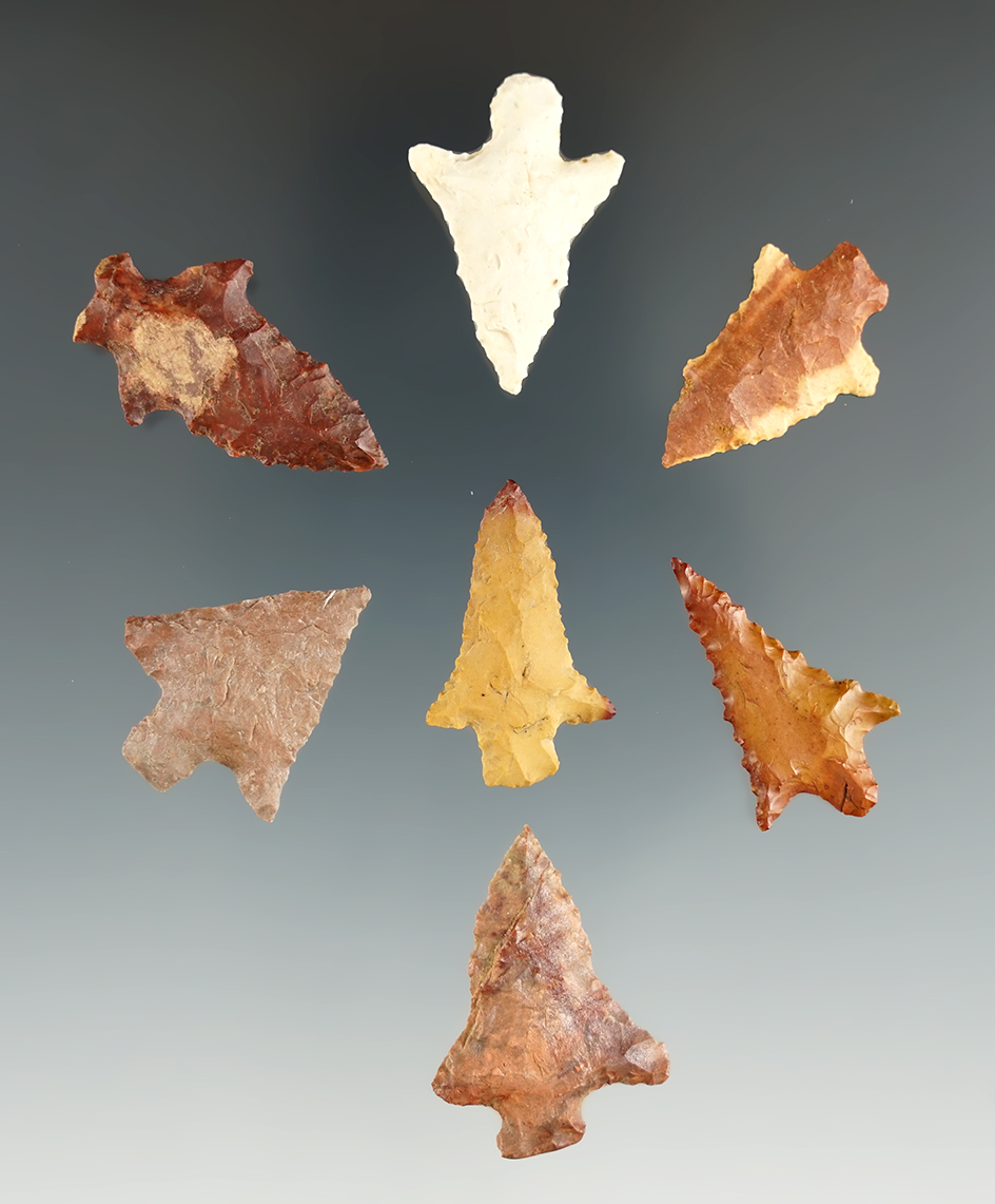 Group of seven assorted arrow points found in Angelina Co.,Texas.