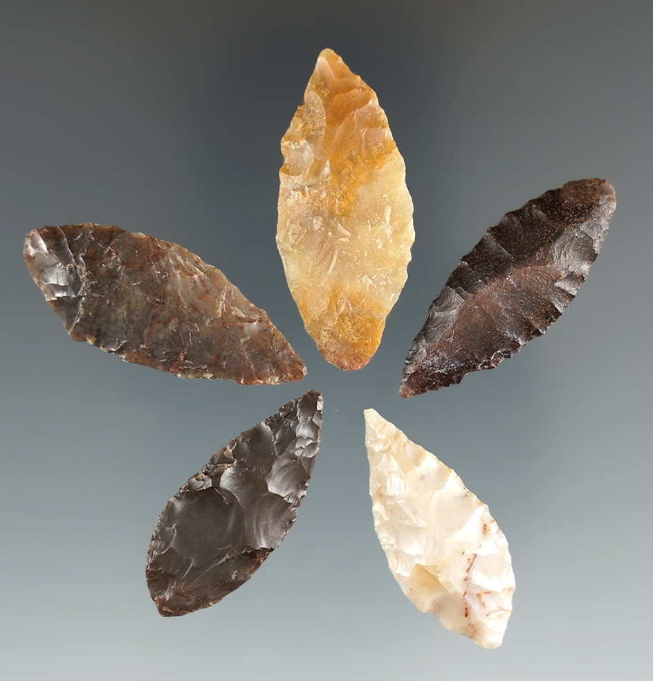 Group of five Coquille points found near the lower Columbia River, Oregon. Largest is 1 1/2".