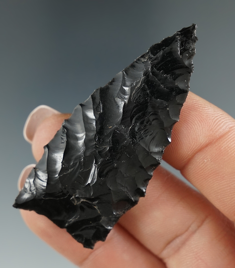 Pictured! 2 1/4" obsidian Plainview found in southern Oregon. Ex. Jim Hogue collection.