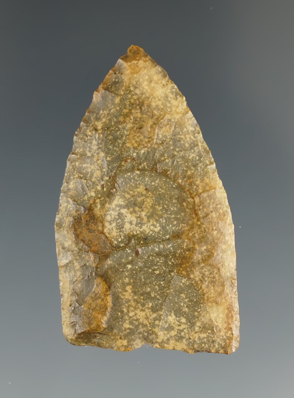 Ex. Perino! 1 5/8" found by Dennis Spears in Texarkana Lake, Cass Co.,Texas.