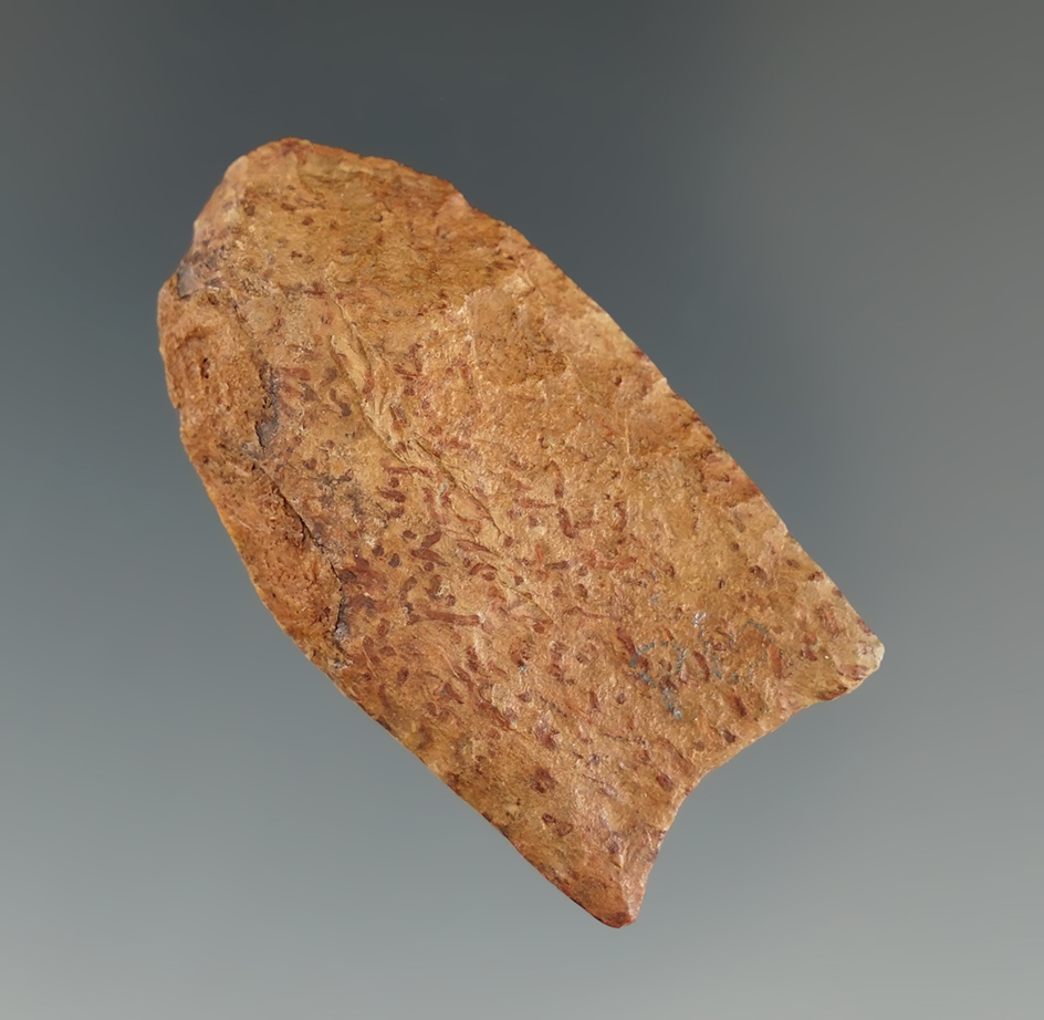 1 5/8" Paleo Plainview - Angelina Co.,Texas. Ex. David Gay, Paul Kinyon collections. Rogers COA.