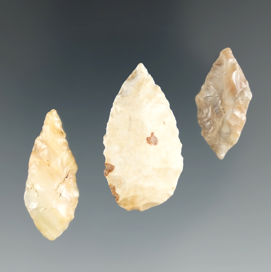 Set of three Paleo Spedis points found near the Columbia River, Priest Rapids, Washington.