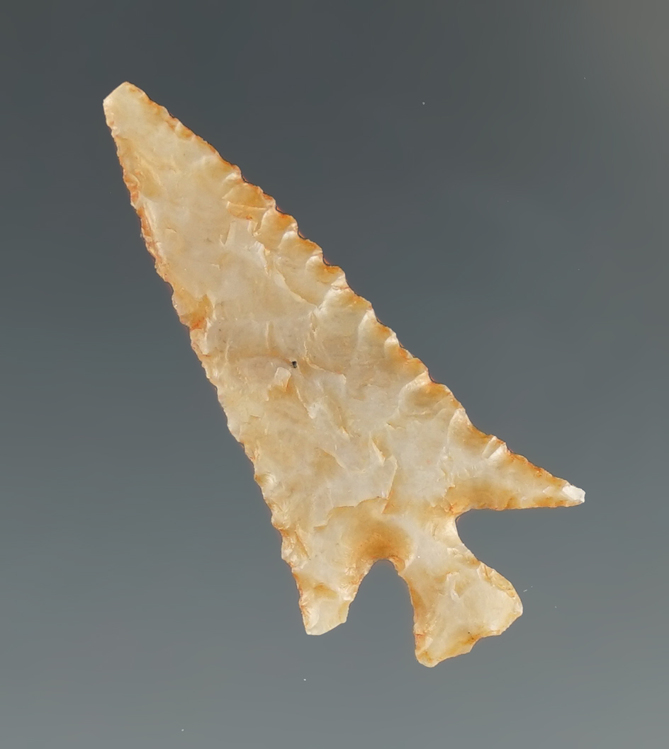 Incredible flaking and style on this 1 3/16" semi-translucent bird point found in Eastern Texas.