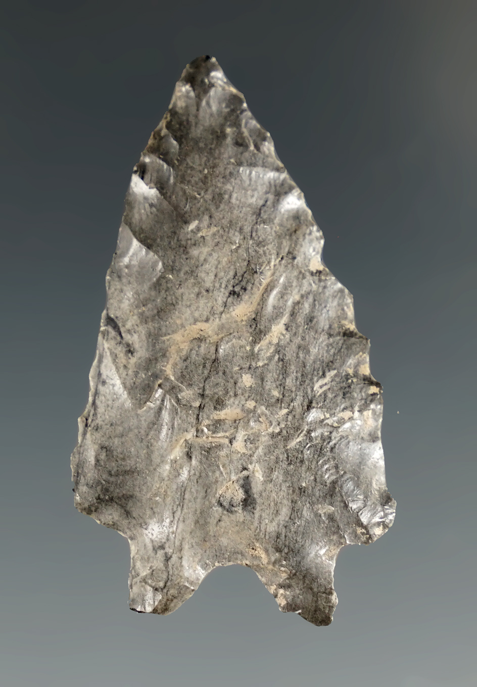 1 9/16" Pinto Basin found by C. J. Horton near Lakeview, Lake Co.,Oregon. Ex. Jim Hogue collection.