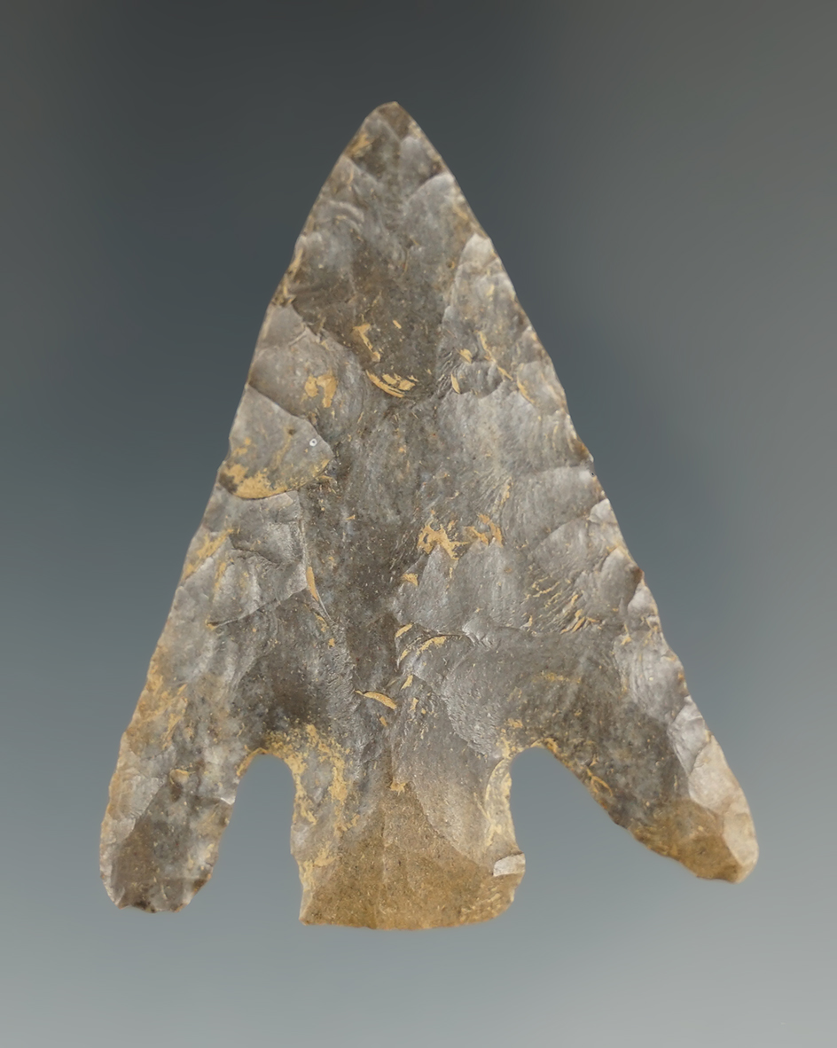 Excellent style on this 2 1/16" Motley point found in Kentucky.