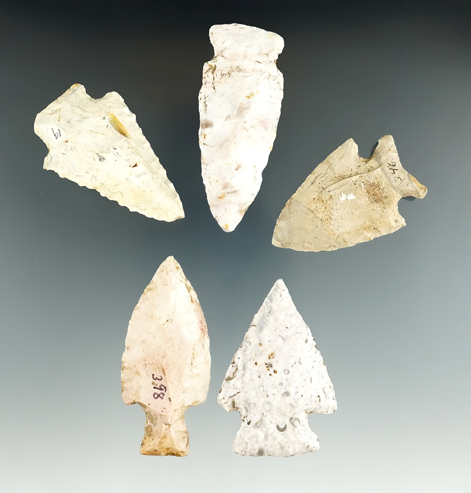 Group of five assorted Missouri points, largest is 2 9/16".